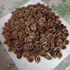 Item thumbnail for item 9b5643d0-f44c-4b87-a8b8-8f83b21863c2