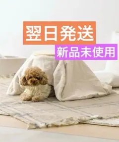 Item thumbnail for item 587a8bc6-5974-49f6-88f1-d003436c8a2d