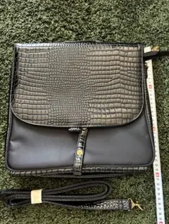 Item thumbnail for item 9241f0ee-639f-4105-a3c7-48a595d077ab