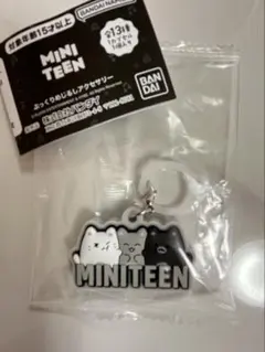 MINITEEN セブチ めじるし ガチャ ジュン