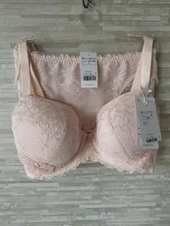 D75L」トリンプ プレミアム レッドレーベル 輝くばかりの美しさ ブラショーツ