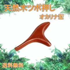 Item thumbnail for item ccf432d5-537f-4c7e-b7fd-f3b65b1a344b