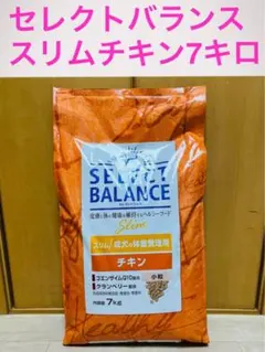 Item thumbnail for item 6560d194-3b7c-4aca-8886-4993c7fb3f1c