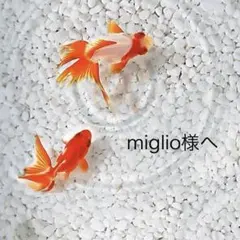 大石雅子 手漉和紙手描鯉幟 1.5m - メルカリ