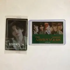 seventeen ウジ　ボカチ　まとめ売り