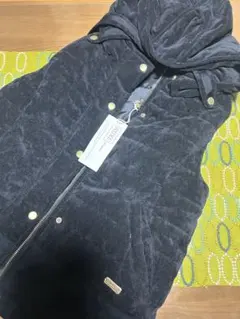 Item thumbnail for item c9cf2714-2e8f-4024-83bf-4986b3449f50