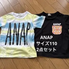 ANAP 110 2点セット