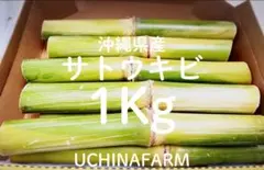 北海道道東産 天然ラワンブキ - メルカリ