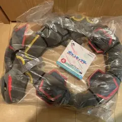 一番くじ ポケットモンスター A賞 黒いレックウザ 抱きぬいぐるみ