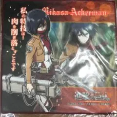 新品 進撃の巨人 ミカサ マイクロファイバーミニタオル