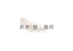 あき 様専用ページ(◎option追加)