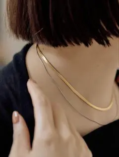 【新品】ear PAPILLONNER ステンレス２連ネックレス