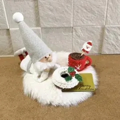 ノルディカニッセ　クリスマスセット