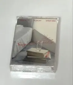 straykids スキズ DICON プレイリストブック