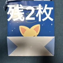 Stray Kids SKZOO フォクシニー ペーパーバッグ ショッパー