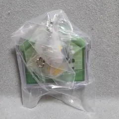 BT21 パッケージチャーム CHIMMY