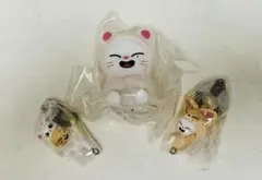 straykids SKZOOガチャ　ジニレットセット