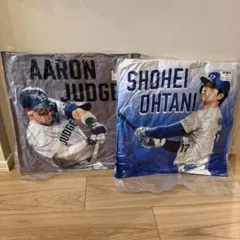 Item thumbnail for item 03f2ab3e-5bf7-4daa-9127-3dc8e8831146