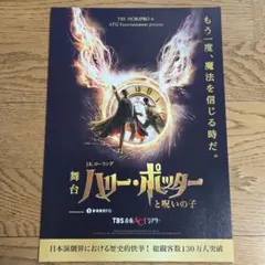 舞台 ハリー・ポッターと呪いの子 フライヤー　１０枚