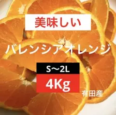家庭用‼️和歌山県産 バレンシアオレンジ 10kg 訳あり 産地直送 みかん