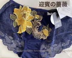 サルート 迎賓の薔薇 ローライズM 48G KOのサムネイル