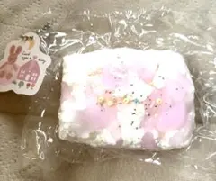 文清 サチマ スクイーズ