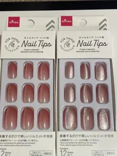 訳あり DAISO Nail Tips マグネットローズピンク2箱 新品未使用品のサムネイル