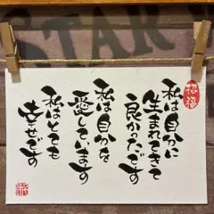 ぴぴこ様 リクエスト 2点 まとめ商品