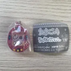 たまごっち　匿名配送