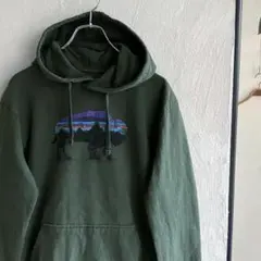 Patagonia バイソン アップライザルスウェットパーカー パタゴニア