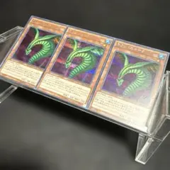 【24時間以内発送】遊戯王 キラースネーク シークレット3枚