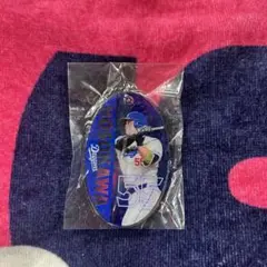 細川 PVCクリアチャーム