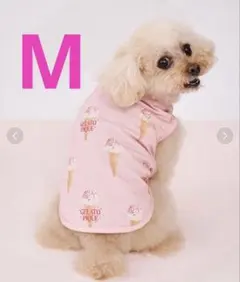 ジェラートピケ 【CAT&DOG】アイス柄カットソープルオーバーMサイズのサムネイル