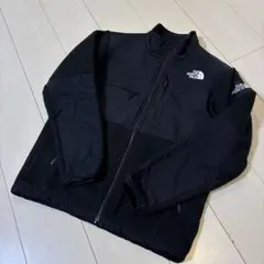 THE NORTH FACE デナリジャケット