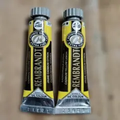 REMBRANDT 油絵具 カドミウムイエロー 15ml 2本セット