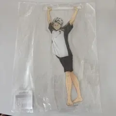 ハイキュー!! 木兎光太郎 BIGアクリルスタンド お風呂ver.