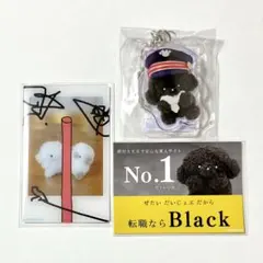 じょせまる ポップアップ アクキー カード シール