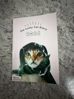 Item thumbnail for item 5cc132e2-b46e-480d-a760-fb98400ef343