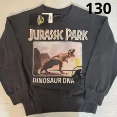 ジュラシックパーク 130