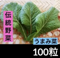 やまっぴ様 リクエスト 2点 まとめ商品