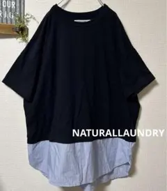 Item thumbnail for item b666661a-5b0e-47d8-8687-d38d675b7821