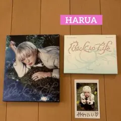 &TEAM Back to Life ハルアミニCD フォトカード