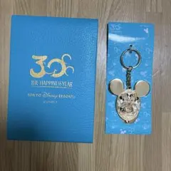 東京ディズニーリゾート 30周年記念キーホルダー
