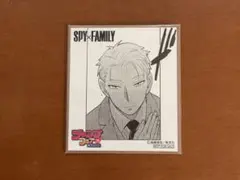 SPY×FAMILY スパイファミリー　ロイド　ジャンプフェア　色紙