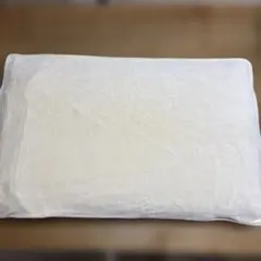 Magniflex 枕 マニフレックス ピローグランデ キャリーカバー付のサムネイル