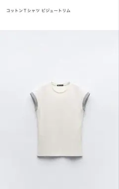 Item thumbnail for item d37b2740-dc96-4063-9b45-d3a237072208