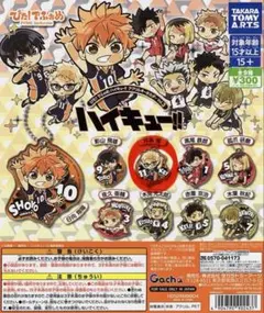 ハイキュー アクリルキーホルダー
