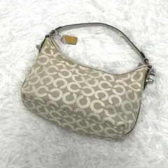 COACH コーチ オプアート アクセサリーポーチ ワンショルダー キャンバス