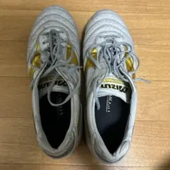 モレリア　限定カラー　26.0