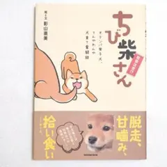 美品★ちび柴さん 影山直美 コミックエッセイ 柴犬 ペット 帯付き 初版